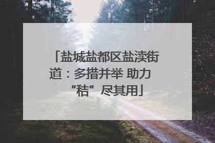 盐城盐都区盐渎街道：多措并举 助力“秸”尽其用
