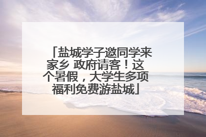 盐城学子邀同学来家乡 政府请客！这个暑假，大学生多项福利免费游盐城
