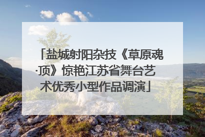 盐城射阳杂技《草原魂·顶》惊艳江苏省舞台艺术优秀小型作品调演