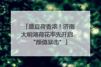盛夏荷香浓！济南大明湖荷花率先开启“颜值暴击”