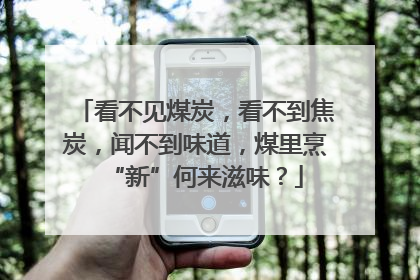 看不见煤炭，看不到焦炭，闻不到味道，煤里烹“新”何来滋味？
