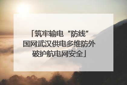 筑牢输电“防线” 国网武汉供电多维防外破护航电网安全