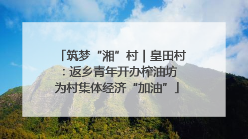 筑梦“湘”村｜皇田村：返乡青年开办榨油坊 为村集体经济“加油”