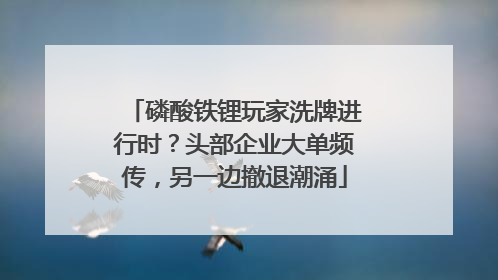 磷酸铁锂玩家洗牌进行时？头部企业大单频传，另一边撤退潮涌