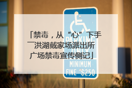 禁毒，从“心”下手――洪湖戴家场派出所广场禁毒宣传侧记