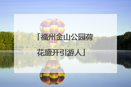 福州金山公园荷花盛开引游人