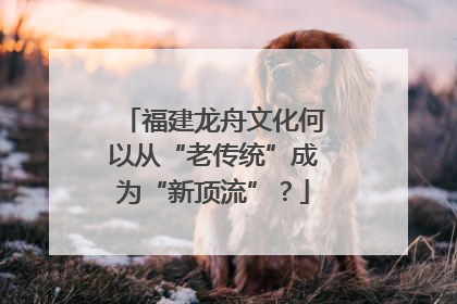 福建龙舟文化何以从“老传统”成为“新顶流”？