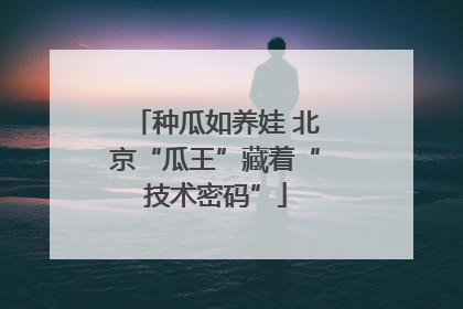 种瓜如养娃 北京“瓜王”藏着“技术密码”