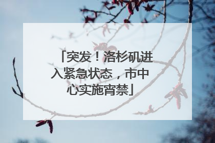 突发！洛杉矶进入紧急状态，市中心实施宵禁