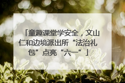 童趣课堂学安全，文山仁和边境派出所“法治礼包”点亮“六一”