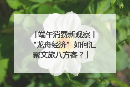 端午消费新观察丨“龙舟经济”如何汇聚文旅八方客？