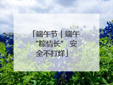 端午节｜端午“粽情长” 安全不打烊