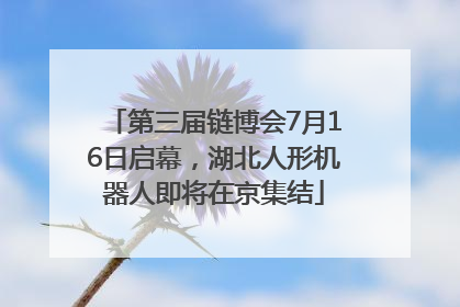 第三届链博会7月16日启幕，湖北人形机器人即将在京集结