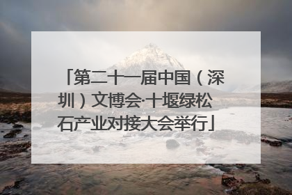 第二十一届中国（深圳）文博会·十堰绿松石产业对接大会举行