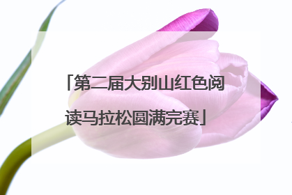 第二届大别山红色阅读马拉松圆满完赛