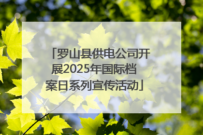 罗山县供电公司开展2025年国际档案日系列宣传活动