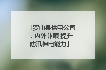 罗山县供电公司：内外兼顾 提升防汛保电能力