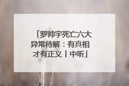 罗帅宇死亡六大异常待解：有真相才有正义丨中听