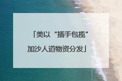 美以“插手包揽”加沙人道物资分发