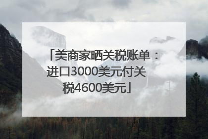 美商家晒关税账单：进口3000美元付关税4600美元