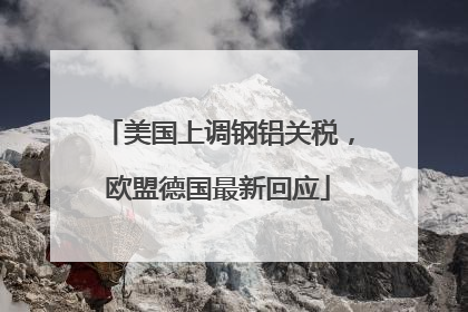美国上调钢铝关税，欧盟德国最新回应