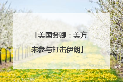 美国务卿：美方未参与打击伊朗