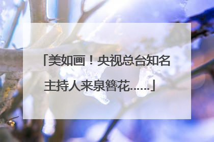 美如画！央视总台知名主持人来泉簪花……