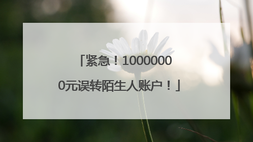 紧急！10000000元误转陌生人账户！