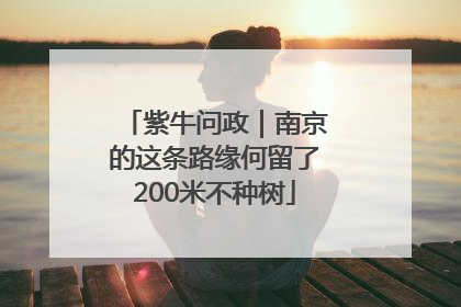 紫牛问政｜南京的这条路缘何留了200米不种树