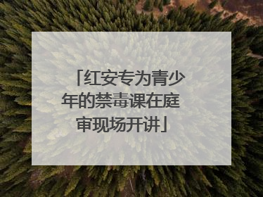 红安专为青少年的禁毒课在庭审现场开讲