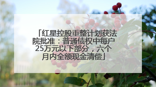 红星控股重整计划获法院批准：普通债权中每户25万元以下部分，六个月内全额现金清偿