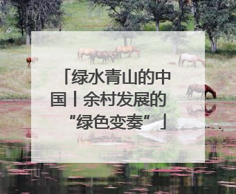 绿水青山的中国丨余村发展的“绿色变奏”