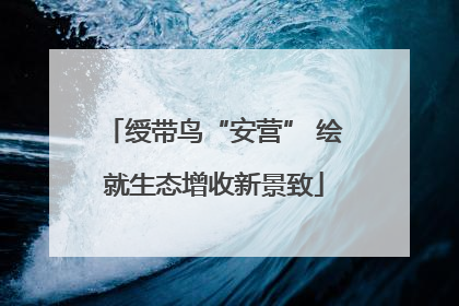 绶带鸟“安营” 绘就生态增收新景致