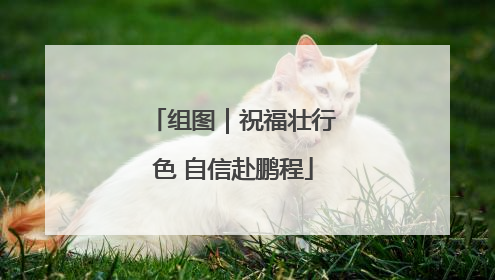 组图｜祝福壮行色 自信赴鹏程