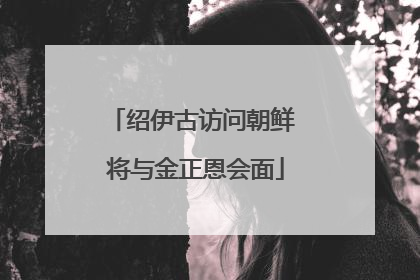 绍伊古访问朝鲜 将与金正恩会面