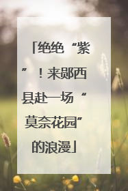 绝绝“紫”！来郧西县赴一场“莫奈花园”的浪漫