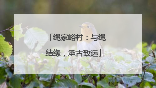 绳家峪村：与绳结缘，承古致远