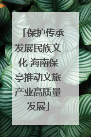 保护传承发展民族文化 海南保亭推动文旅产业高质量发展