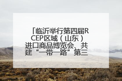 临沂举行第四届RCEP区域（山东）进口商品博览会、共建“一带一路”第三届临沂商城国际采购商大会新闻发布会