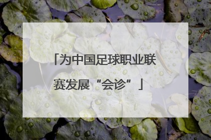 为中国足球职业联赛发展“会诊”