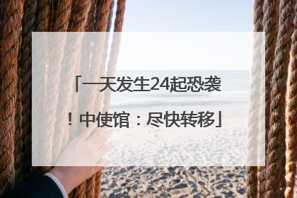 一天发生24起恐袭！中使馆：尽快转移