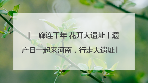 一廊连千年 花开大遗址丨遗产日一起来河南，行走大遗址