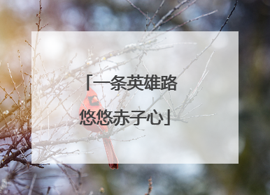 一条英雄路 悠悠赤子心