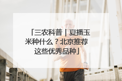 三农科普｜夏播玉米种什么？北京推荐这些优秀品种