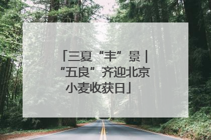 三夏“丰”景｜“五良”齐迎北京小麦收获日