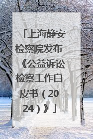 上海静安检察院发布《公益诉讼检察工作白皮书（2024）》