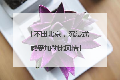 不出北京，沉浸式感受加勒比风情