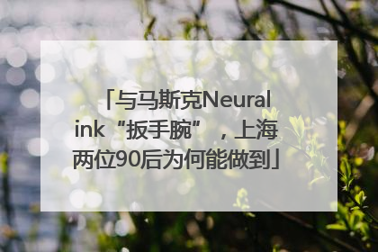 与马斯克Neuralink“扳手腕”，上海两位90后为何能做到