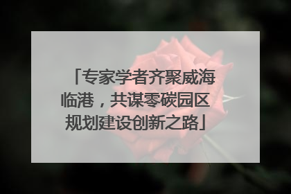 专家学者齐聚威海临港，共谋零碳园区规划建设创新之路