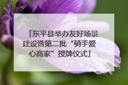 东平县举办友好场景建设暨第二批“骑手爱心商家”授牌仪式